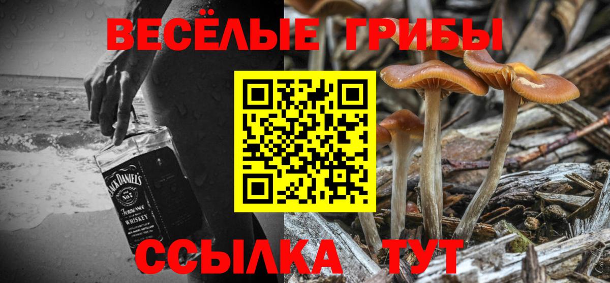 Галлюциногенные грибы ЛСД  Вход с VPN  Зеленокумск  Галлюциногенные грибы Psilocybe 
