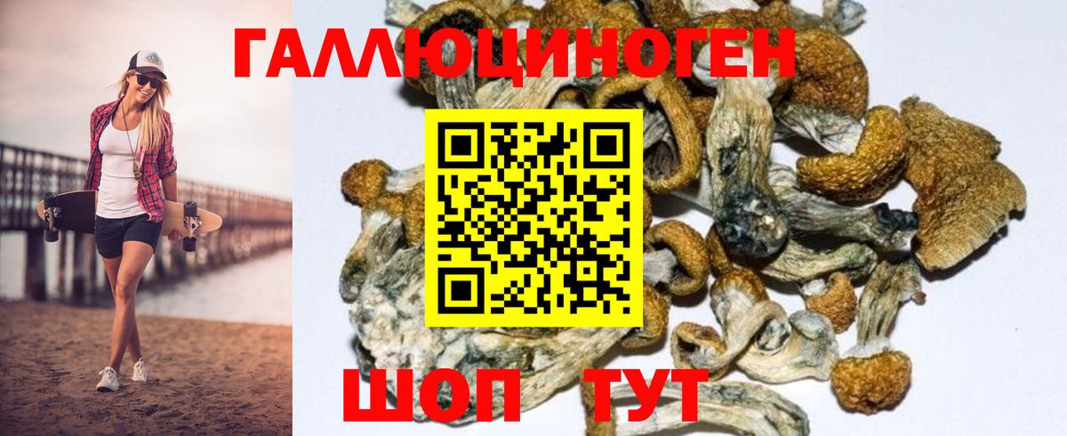 Галлюциногенные грибы GOLDEN TEACHER Зеленокумск